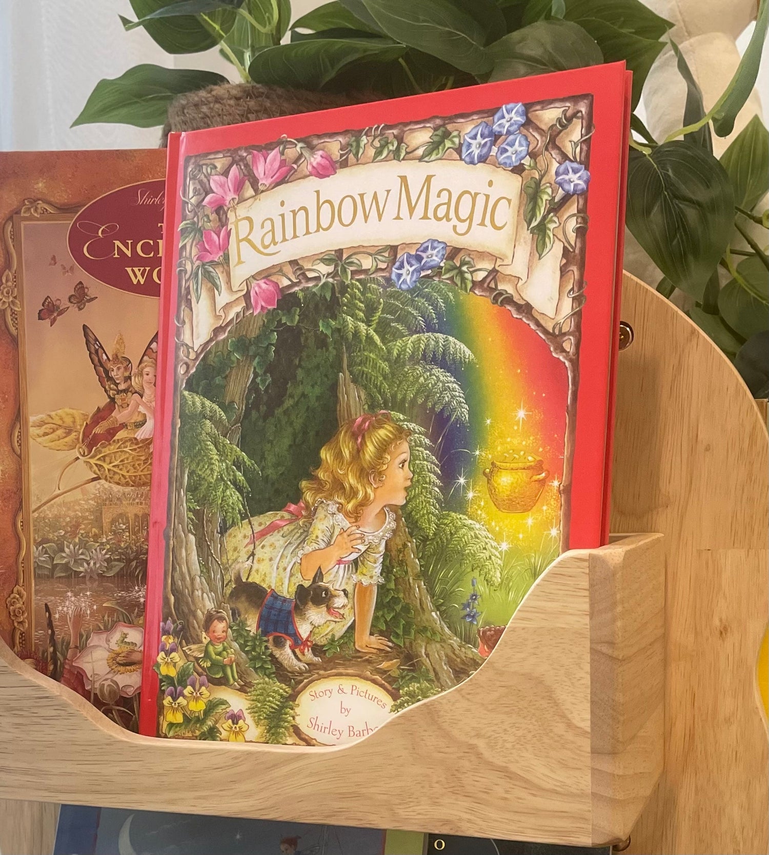 SHIRLEY BARBER | RAINBOW MAGIC Hardback by SHIRLEY BARBER - The Playful Collective