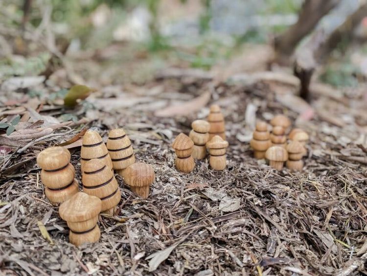 SMALL WORLD - DIVERSE WOODEN FIGURINE SET by EXPLORE NOOK - The Playful Collective