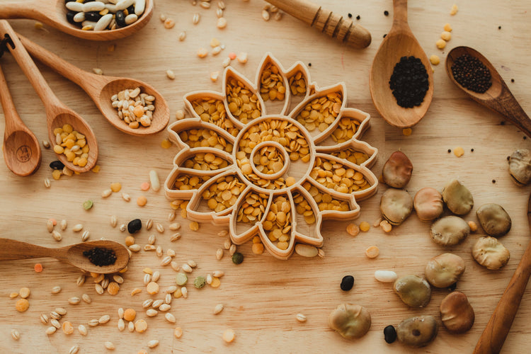 SUNFLOWER ECO CUTTER - PREORDER by KINFOLK PANTRY - The Playful Collective
