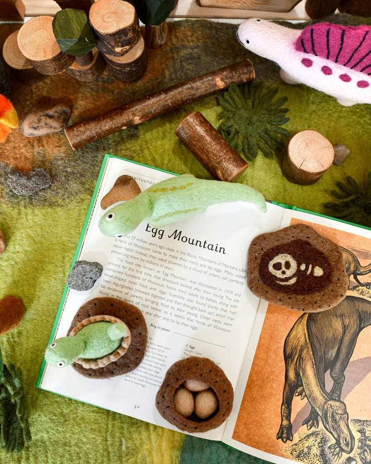 TARA TREASURES | FELT LIFE STAGES OF A DINOSAUR - BRONTOSAURUS by TARA TREASURES - The Playful Collective