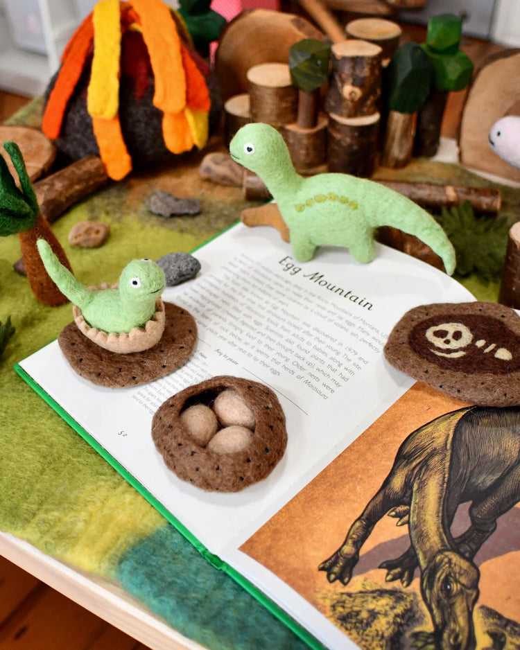 TARA TREASURES | FELT LIFE STAGES OF A DINOSAUR - BRONTOSAURUS by TARA TREASURES - The Playful Collective