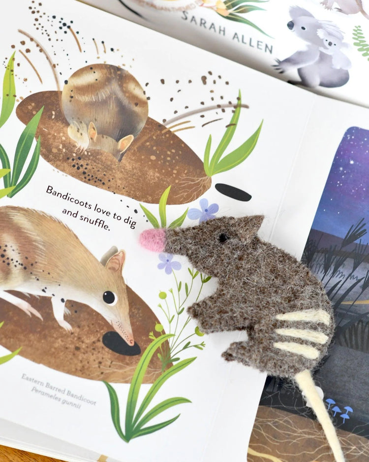 TARA TREASURES | JUMPING JOEYS BY SARAH ALLEN - BOOK & FINGER PUPPET SET *PRE-ORDER* by TARA TREASURES - The Playful Collective