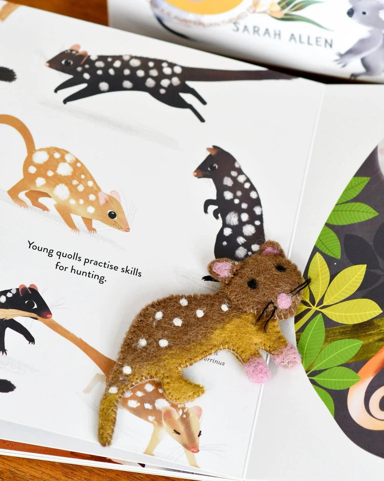 TARA TREASURES | JUMPING JOEYS BY SARAH ALLEN - BOOK & FINGER PUPPET SET *PRE-ORDER* by TARA TREASURES - The Playful Collective