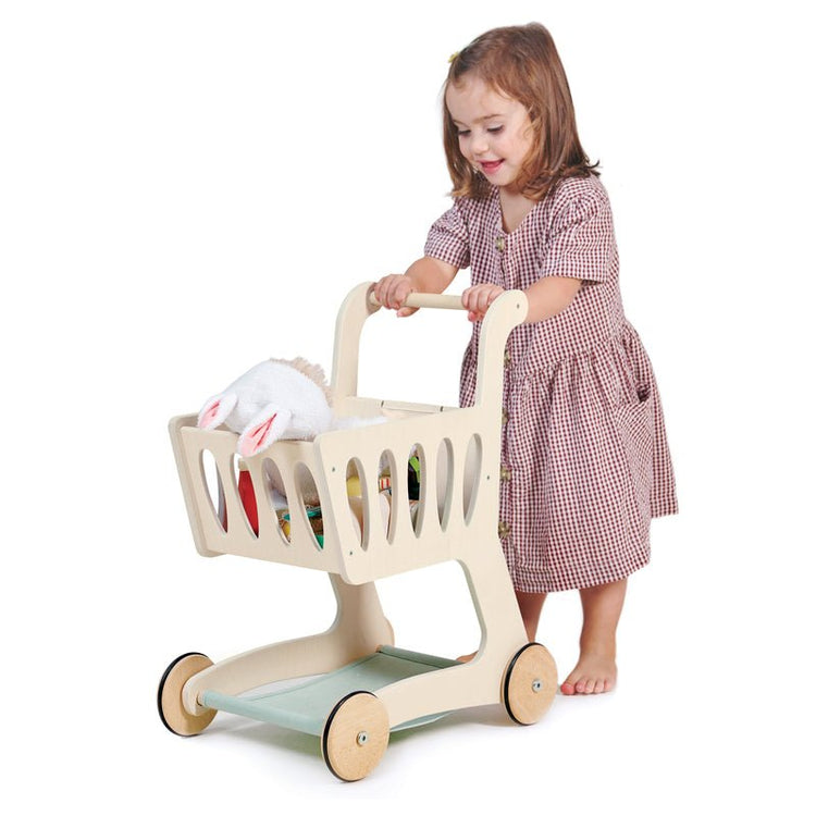 TENDER LEAF TOYS | SHOPPING CART by TENDER LEAF TOYS - The Playful Collective