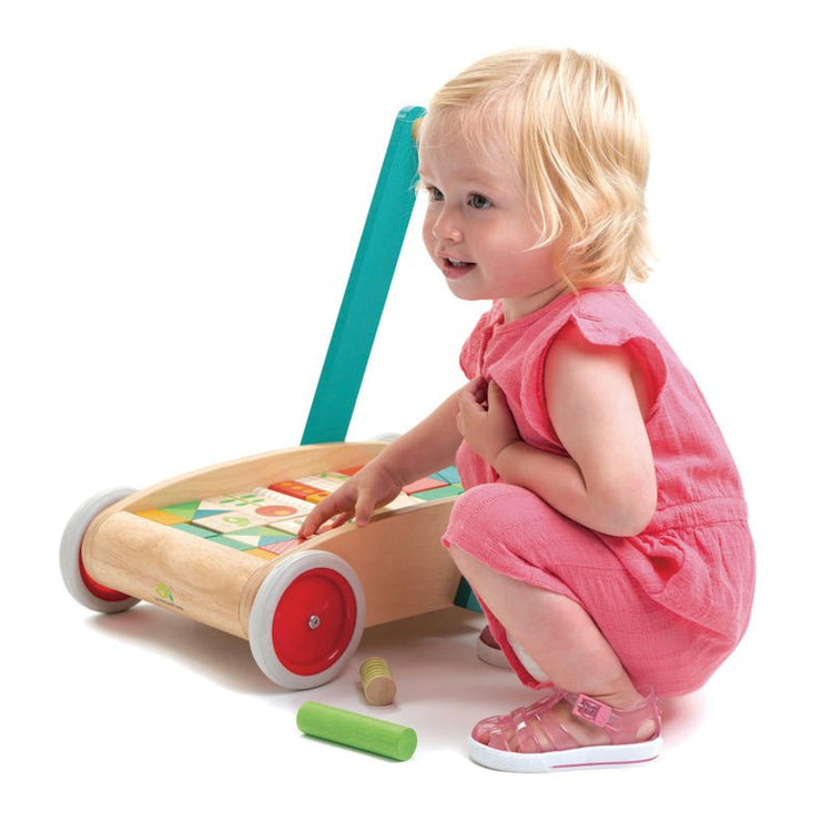 TENDER LEAF TOYS | WAGON WITH BLOCKS by TENDER LEAF TOYS - The Playful Collective