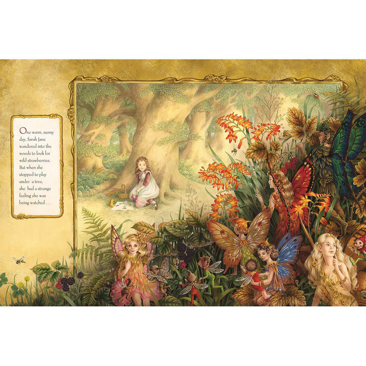 THE ENCHANTED WOODS (HARDBACK) by SHIRLEY BARBER - The Playful Collective