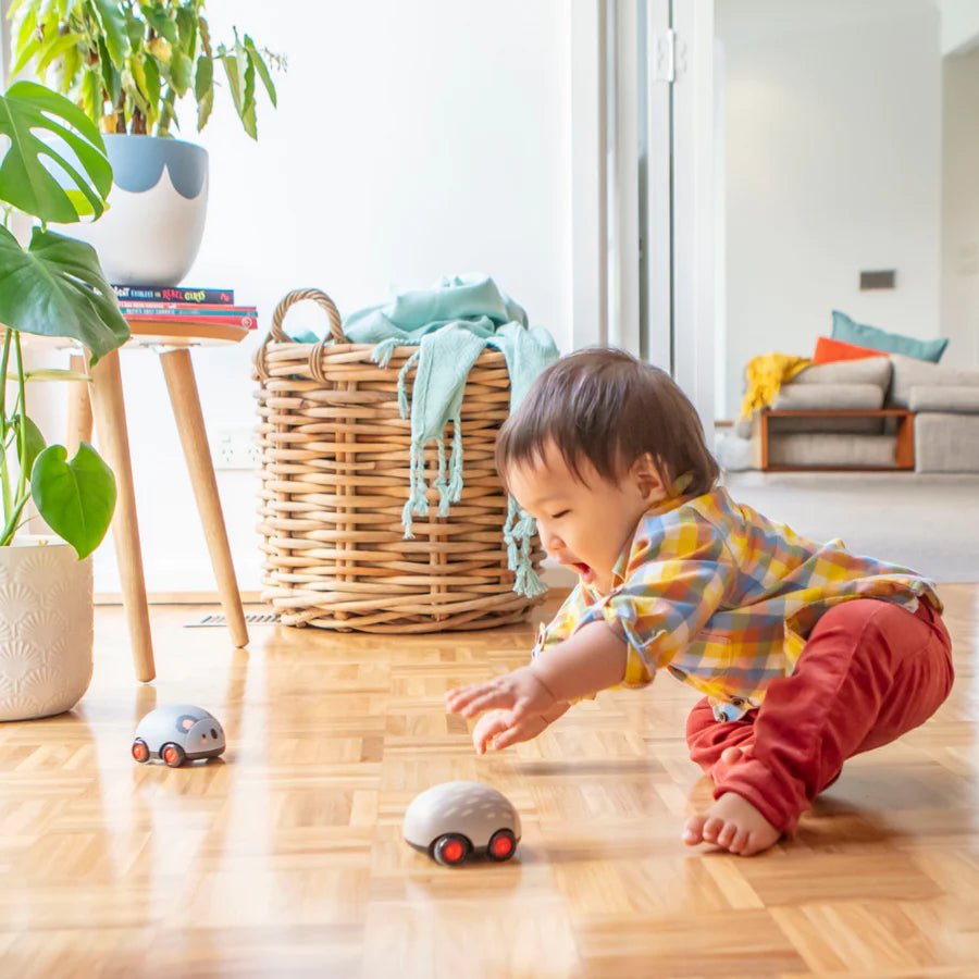 TIGER TRIBE | PULL-BACKS - AUSSIE ANIMALS by TIGER TRIBE - The Playful Collective