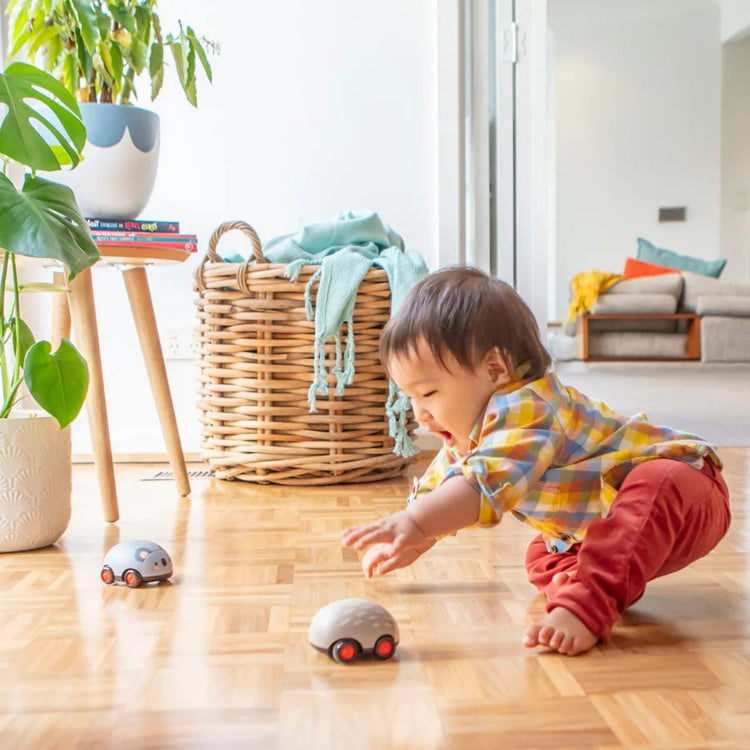 TIGER TRIBE | PULL-BACKS - AUSSIE ANIMALS by TIGER TRIBE - The Playful Collective