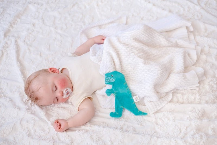 TIKIRI | SCRUNCHIE TOY - T-REX by TIKIRI - The Playful Collective