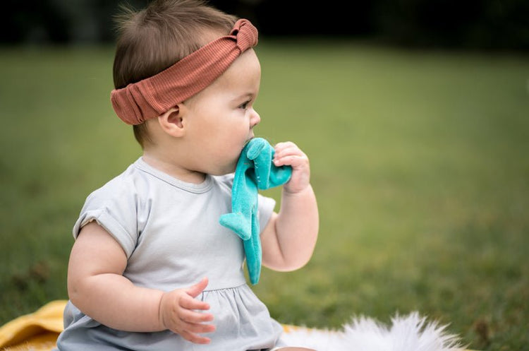 TIKIRI | SCRUNCHIE TOY - T-REX by TIKIRI - The Playful Collective