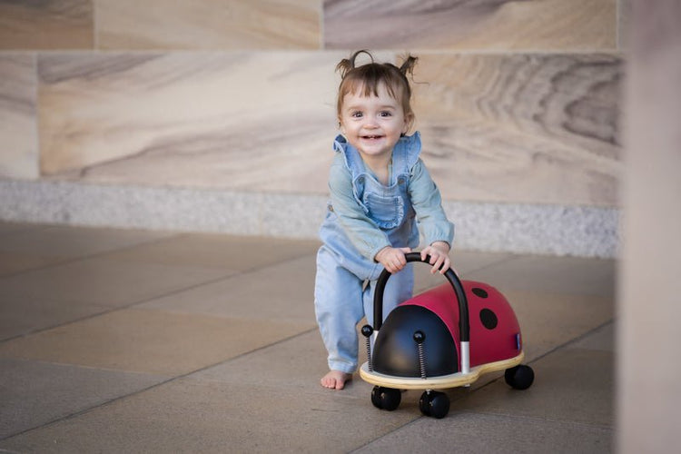 WHEELY BUG | SMALL LADYBUG RIDE-ON by WHEELY BUG - The Playful Collective
