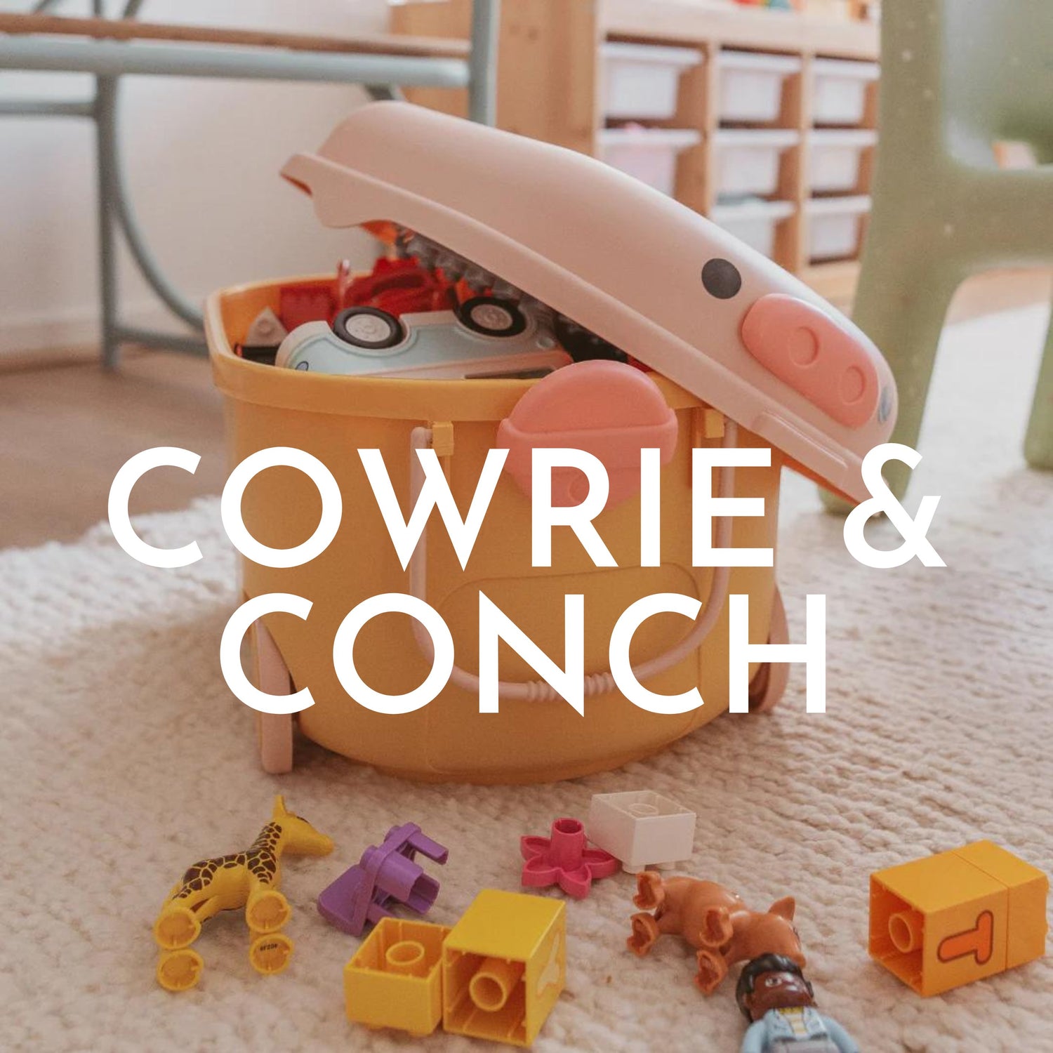 COWRIE & CONCH