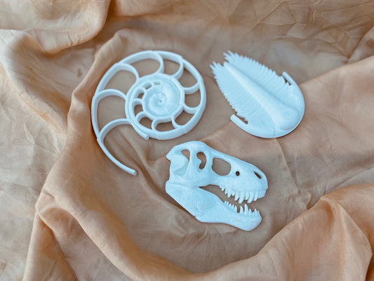 BEADIE BUG PLAY | T - REX BIO SKULL FOSSIL by BEADIE BUG PLAY - The Playful Collective