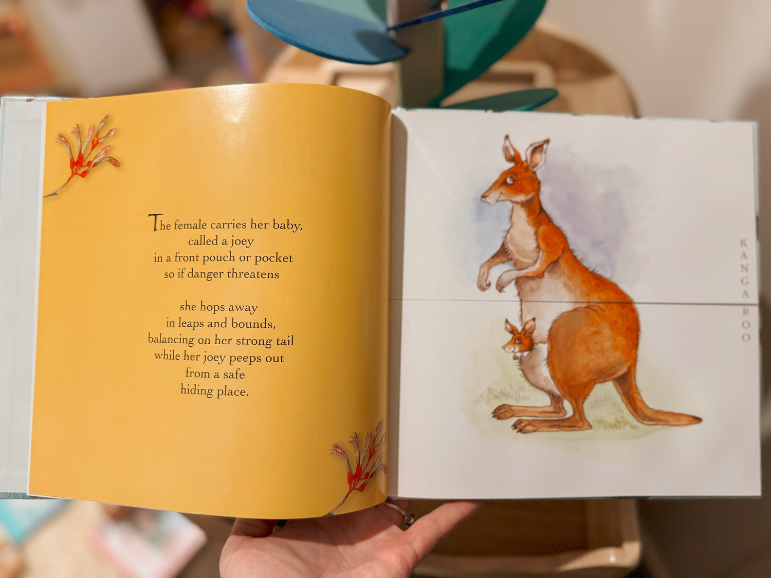 BROLLY BOOKS | AUSTRANIMALS by BROLLY BOOKS - The Playful Collective