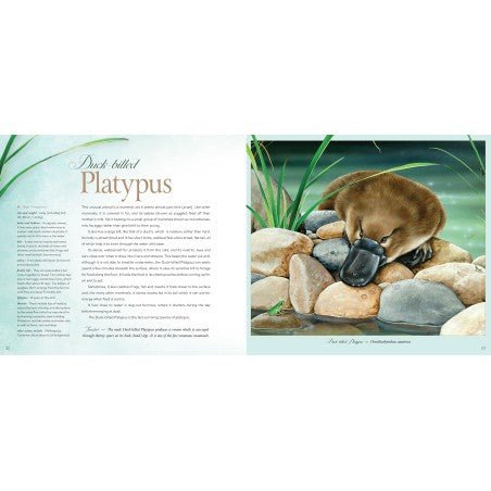 BROLLY BOOKS | OUR PRECIOUS WILDLIFE by BROLLY BOOKS - The Playful Collective