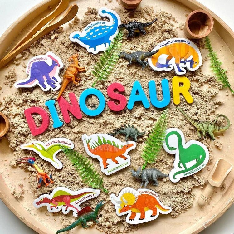 CURIOUS COLUMBUS | MAGNETIC DINOSAURS & LETTERS by CURIOUS COLUMBUS - The Playful Collective