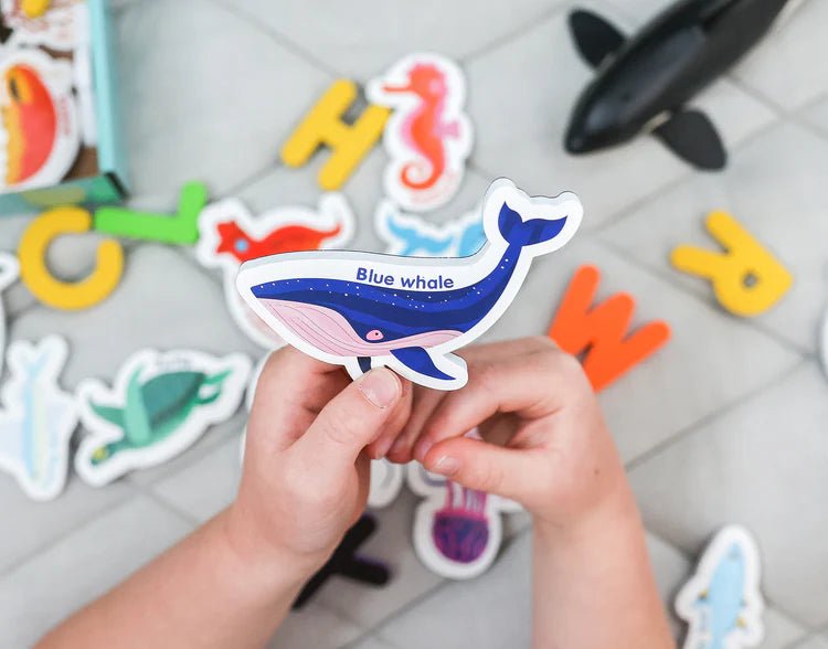 CURIOUS COLUMBUS | MAGNETIC SEA CREATURES & LETTERS by CURIOUS COLUMBUS - The Playful Collective