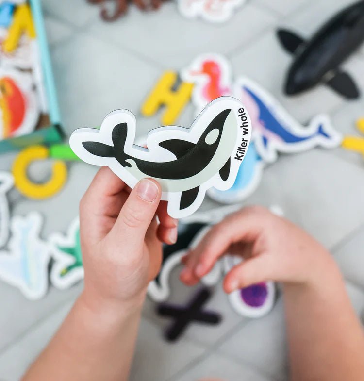 CURIOUS COLUMBUS | MAGNETIC SEA CREATURES & LETTERS by CURIOUS COLUMBUS - The Playful Collective