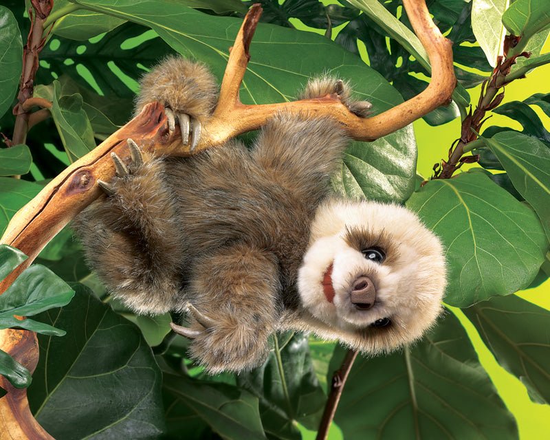 Baby Sloth Puppet by Folkmanis Puppets | The Playful Collective