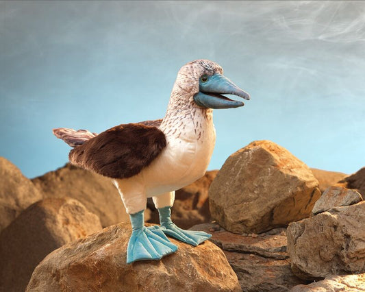 FOLKMANIS PUPPETS | BLUE FOOTED BOOBY PUPPET by FOLKMANIS PUPPETS - The Playful Collective