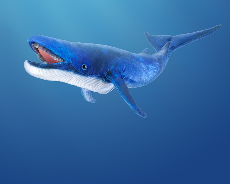 Wale Puppet Blue Whale Puppet by Folkmanis Puppets | The Playful Collective