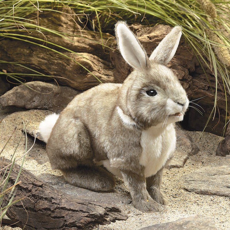 FOLKMANIS PUPPETS | COTTONTAIL RABBIT PUPPET by FOLKMANIS PUPPETS - The Playful Collective