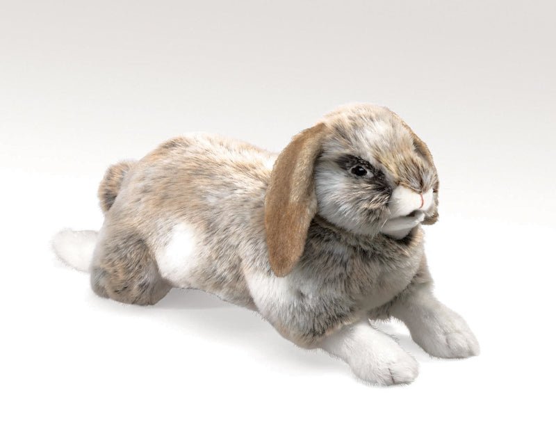 FOLKMANIS PUPPETS | HOLLAND LOP RABBIT PUPPET by FOLKMANIS PUPPETS - The Playful Collective