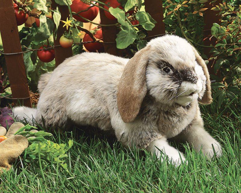 FOLKMANIS PUPPETS | HOLLAND LOP RABBIT PUPPET by FOLKMANIS PUPPETS - The Playful Collective