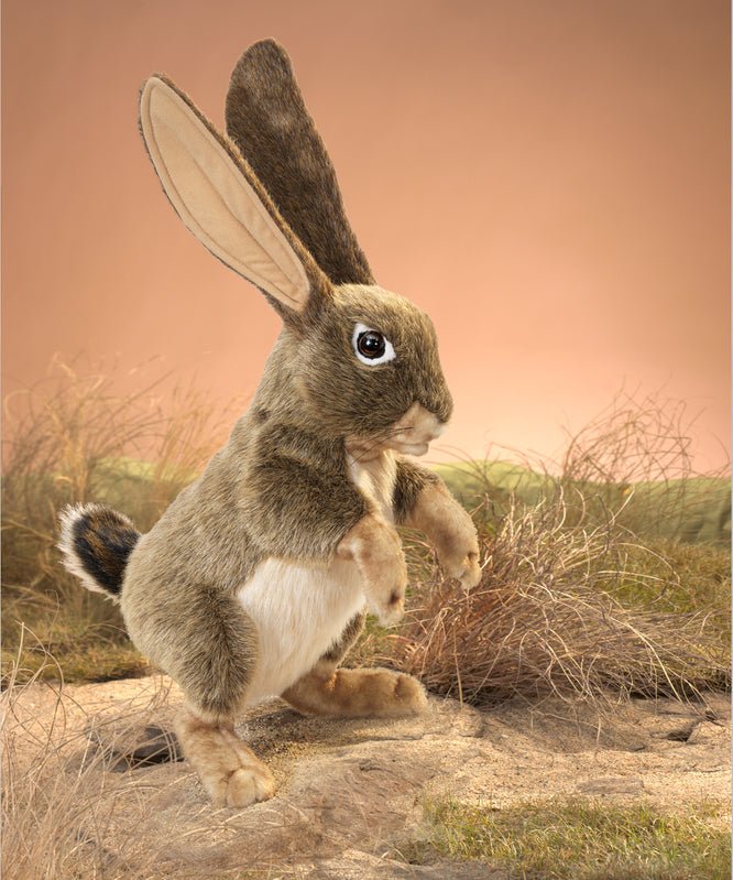 Jack Rabbit Puppet by Folkmanis Puppets | The Playful Collective