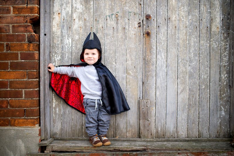 GREAT PRETENDERS | TODDLER REVERSIBLE SPIDER & BAT CAPE - SIZE 2 - 3 by GREAT PRETENDERS - The Playful Collective