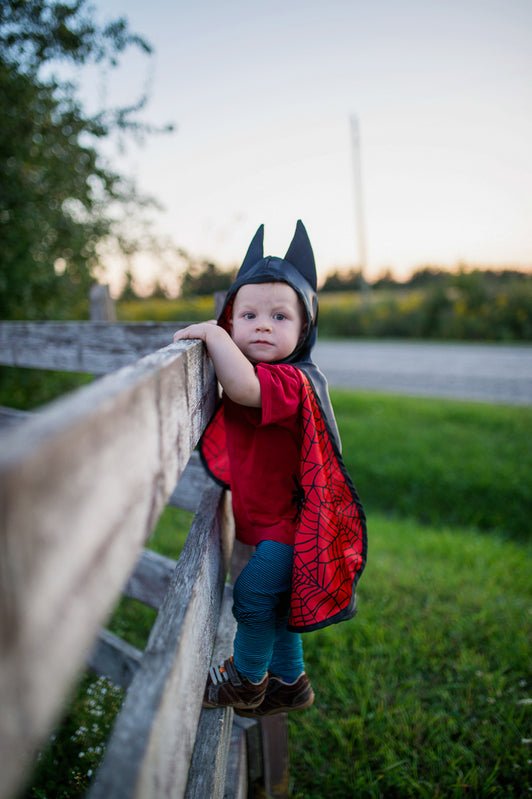 GREAT PRETENDERS | TODDLER REVERSIBLE SPIDER & BAT CAPE - SIZE 2 - 3 by GREAT PRETENDERS - The Playful Collective