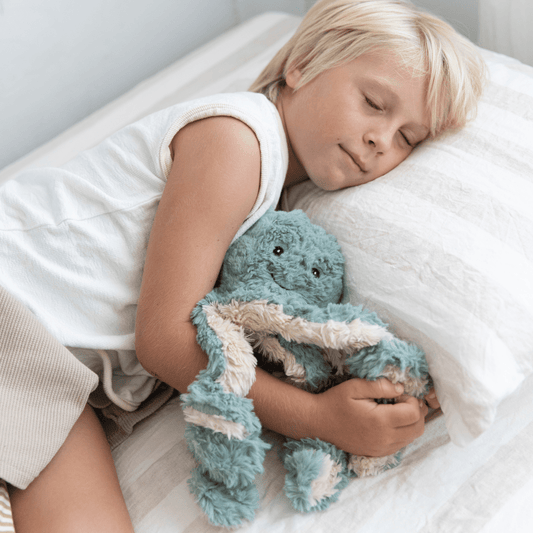 MINDFUL & CO KIDS | OLLIE THE WEIGHTED OCTOPUS (FOR KIDS ANXIETY & SLEEP - SENSORY CALMING TOOL) by MINDFUL & CO KIDS - The Playful Collective