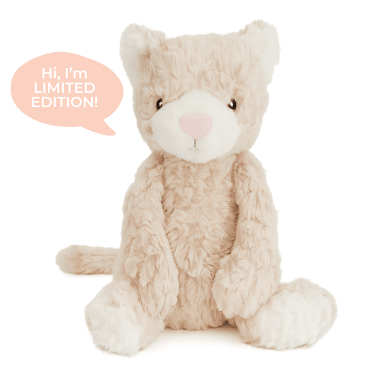 MINDFUL & CO KIDS | PICKLES THE WEIGHTED CAT (FOR KIDS ANXIETY & SLEEP - SENSORY CALMING TOOL) by MINDFUL & CO KIDS - The Playful Collective