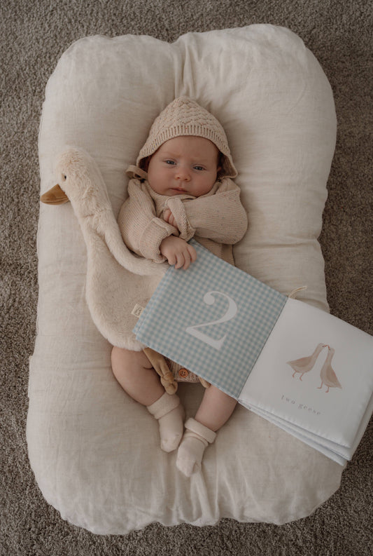 POP YA TOT | HOW MANY GEESE IN A GAGGLE CRINKLE BOOK by POP YA TOT - The Playful Collective