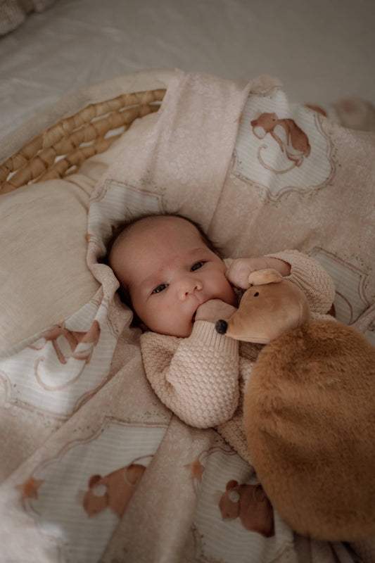 POP YA TOT | SWEET SQUEAK SWADDLE WRAP by POP YA TOT - The Playful Collective