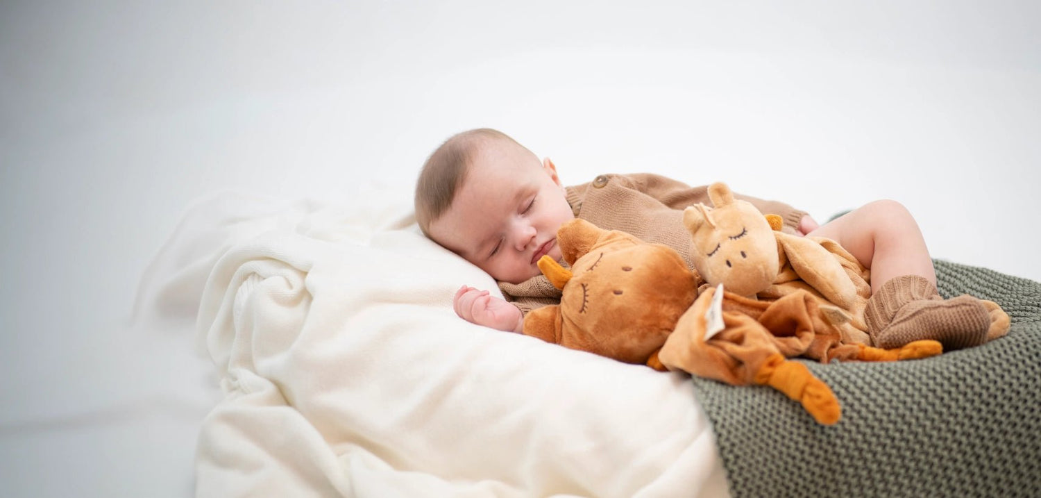 SCHNORG BABY | SCHNORGLESAURUS - LULLABY & PINK NOISE SLEEP COMFORTER - BRUNO by SCHNORG BABY - The Playful Collective