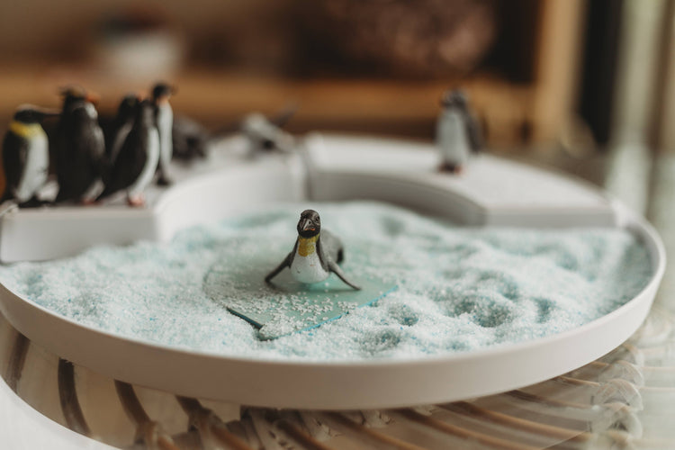 THE SALTWATER COLLECTIVE | ICY WATERS - SENSORY SALT - POTION PLAY INGREDIENT by THE SALTWATER COLLECTIVE - The Playful Collective