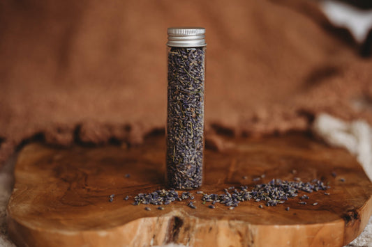 THE SALTWATER COLLECTIVE | LAVENDER - POTION ADD - ON by THE SALTWATER COLLECTIVE - The Playful Collective