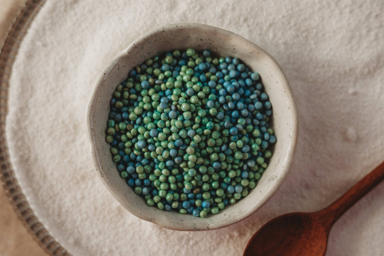 THE SALTWATER COLLECTIVE | SEAHORSE GARDEN - PEARLESCENT DROPS SMALL - POTION PLAY INGREDIENT by THE SALTWATER COLLECTIVE - The Playful Collective