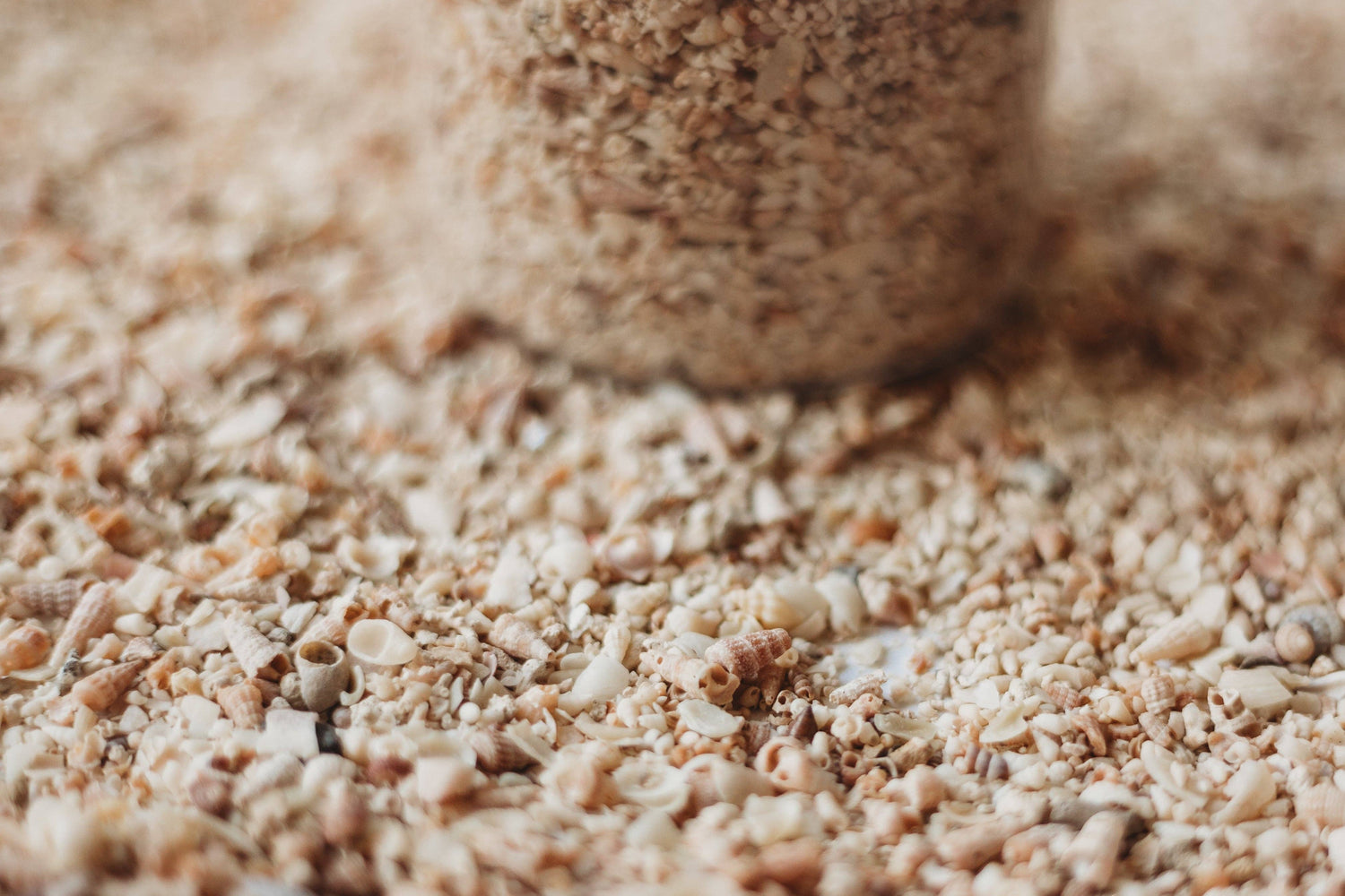 THE SALTWATER COLLECTIVE | SHELL SAND - SMALL - POTION PLAY INGREDIENT by THE SALTWATER COLLECTIVE - The Playful Collective