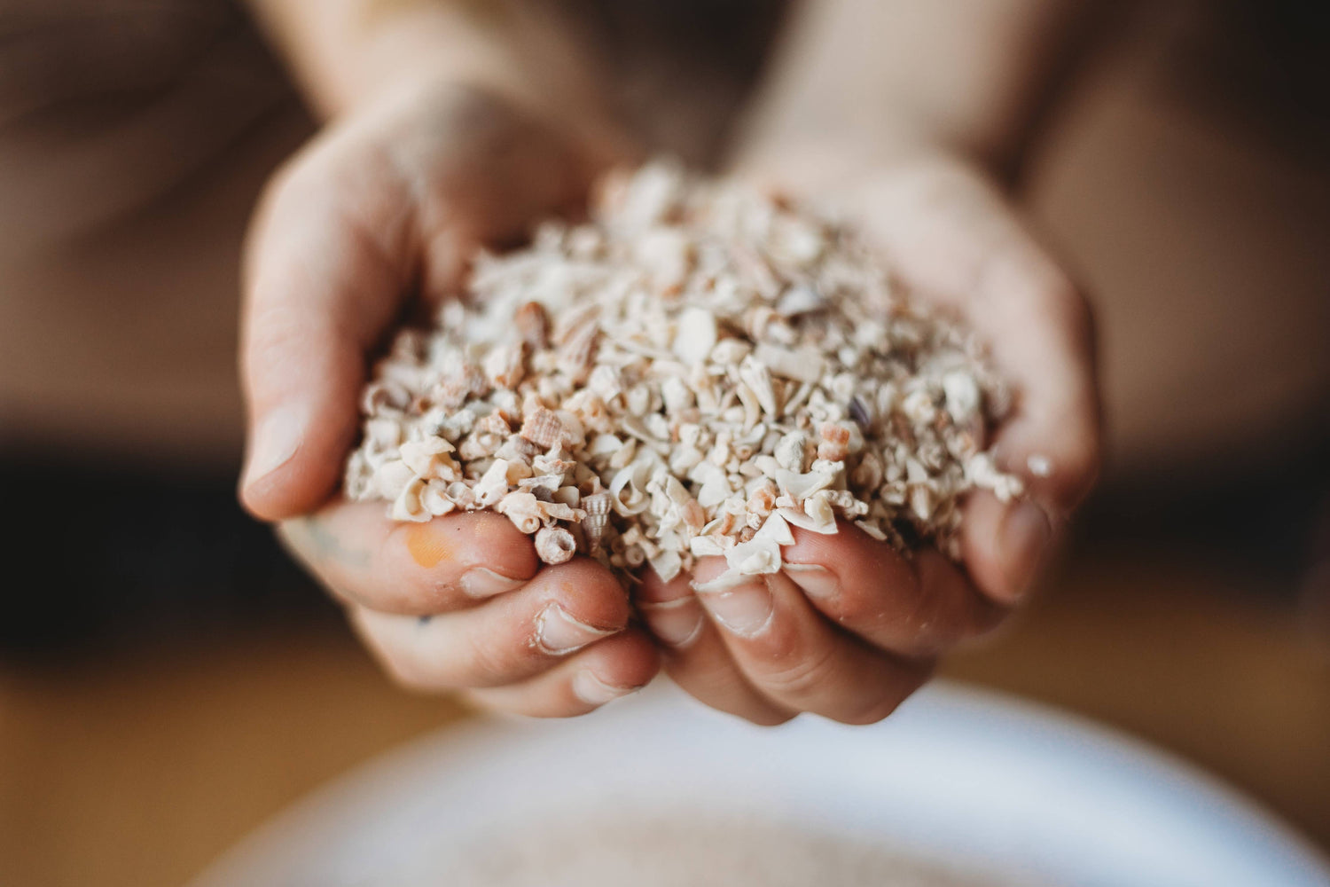 THE SALTWATER COLLECTIVE | SHELL SAND - SMALL - POTION PLAY INGREDIENT by THE SALTWATER COLLECTIVE - The Playful Collective