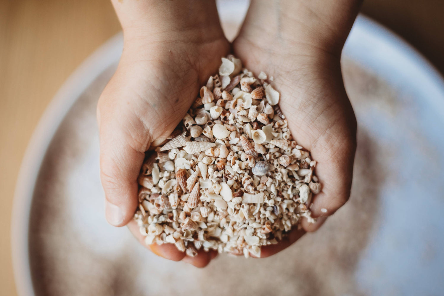 THE SALTWATER COLLECTIVE | SHELL SAND - SMALL - POTION PLAY INGREDIENT by THE SALTWATER COLLECTIVE - The Playful Collective