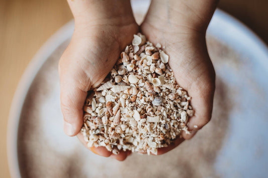 THE SALTWATER COLLECTIVE | SHELL SAND - SMALL - POTION PLAY INGREDIENT by THE SALTWATER COLLECTIVE - The Playful Collective