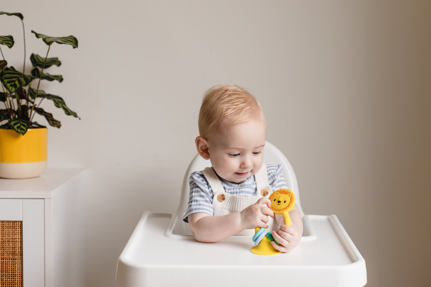 TIGER TRIBE | HIGH CHAIR BUDDY - SILICONE LION by TIGER TRIBE - The Playful Collective
