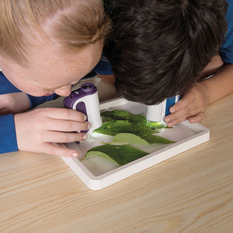 TTS | HAND HELD POCKET MICROSCOPE SET OF 6 by TTS - The Playful Collective