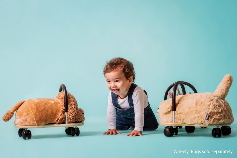 WHEELY BUG | SMALL PLUSH LION COMBO RIDE-ON by WHEELY BUG - The Playful Collective