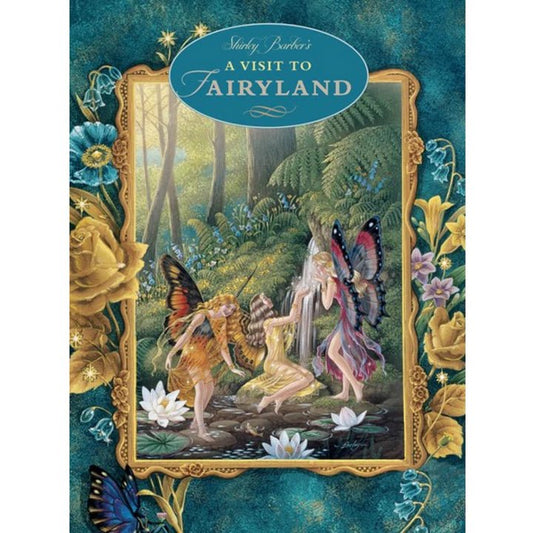 A VISIT TO FAIRYLAND (PAPERBACK) by SHIRLEY BARBER - The Playful Collective