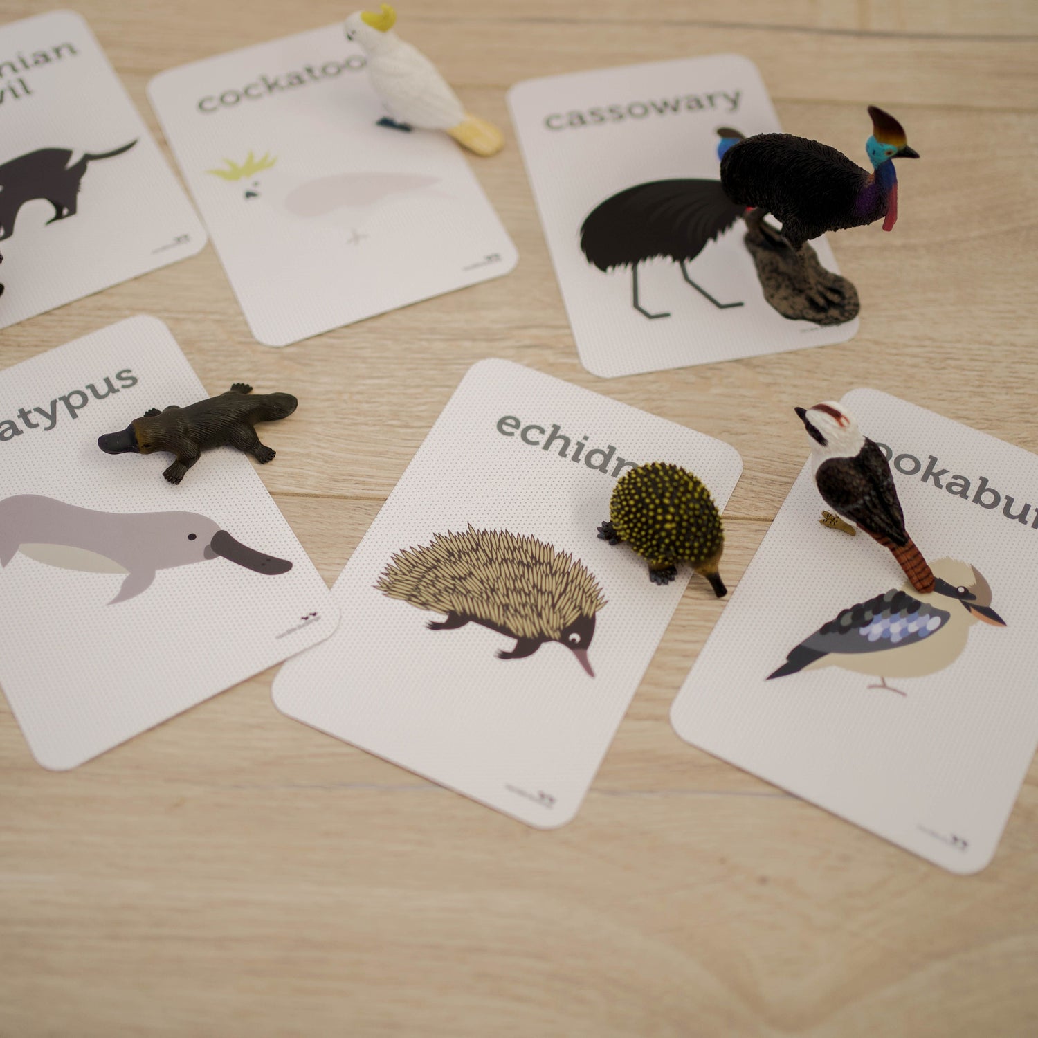 AUSSIE ANIMAL FLASH CARDS by TWO LITTLE DUCKLINGS - The Playful Collective