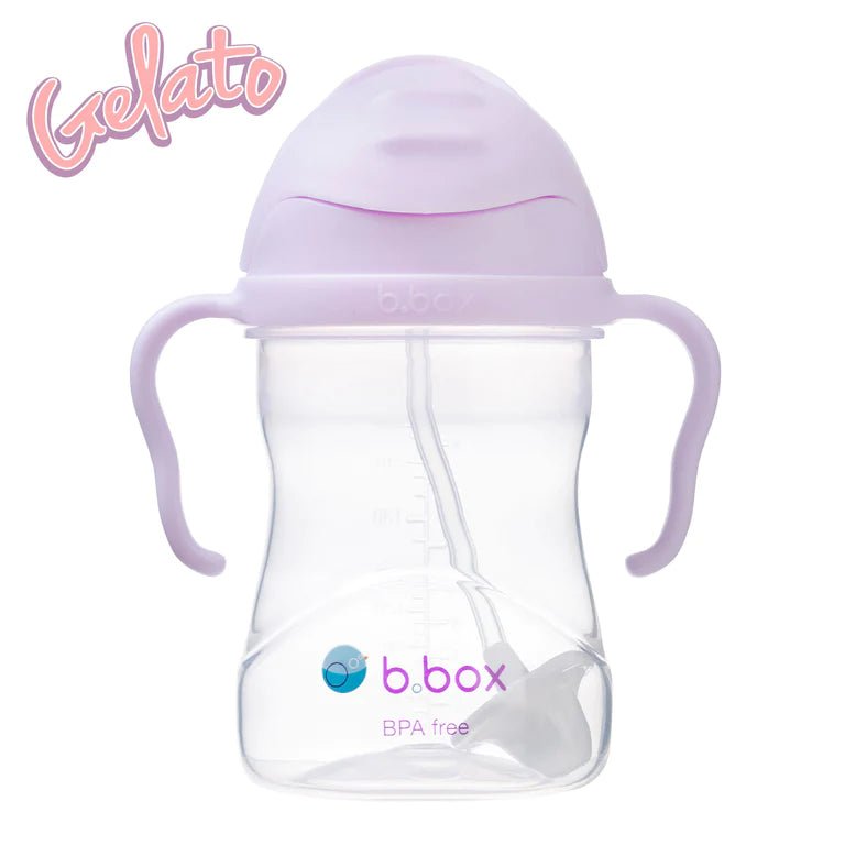B.BOX SIPPY CUP Boysenberry by B.BOX - The Playful Collective