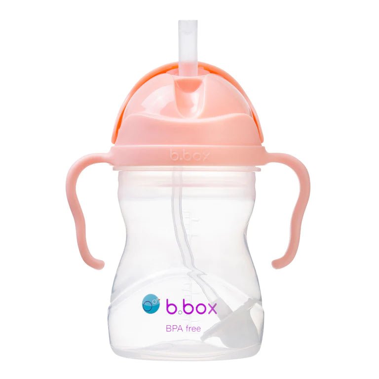 B.BOX SIPPY CUP Tutti Fruitti by B.BOX - The Playful Collective